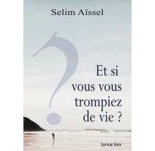 Et si vous vous trompiez de vie ? - Vers l'éveil spirituel