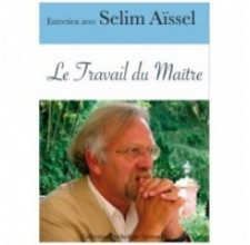 Streaming Le Travail du Maître