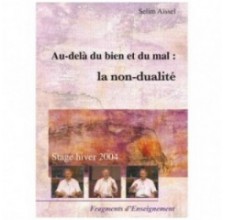 Streaming Au-delà du bien et du mal : la non-dualité