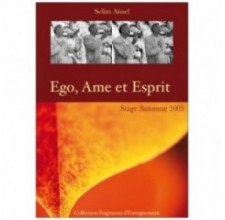 Streaming Ego, Ame et Esprit