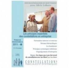 Formation de constellateur - 2011 - Tome 1 : Les principes essentiels des constellations en entreprise