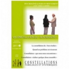 Formation de constellateur - 2011 - Tome 3 : La constellation du bon résultat