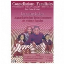 DVD Les métaprincipes