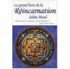 Le Grand Livre de la Réincarnation